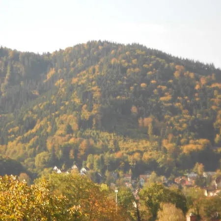 Appartement Quartier 1 Freiburg im Breisgau